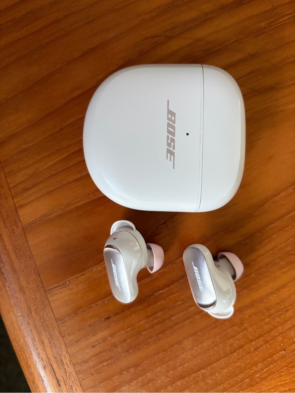 Bose QuietComfort (1st Generation) Earbuds — well used but still work